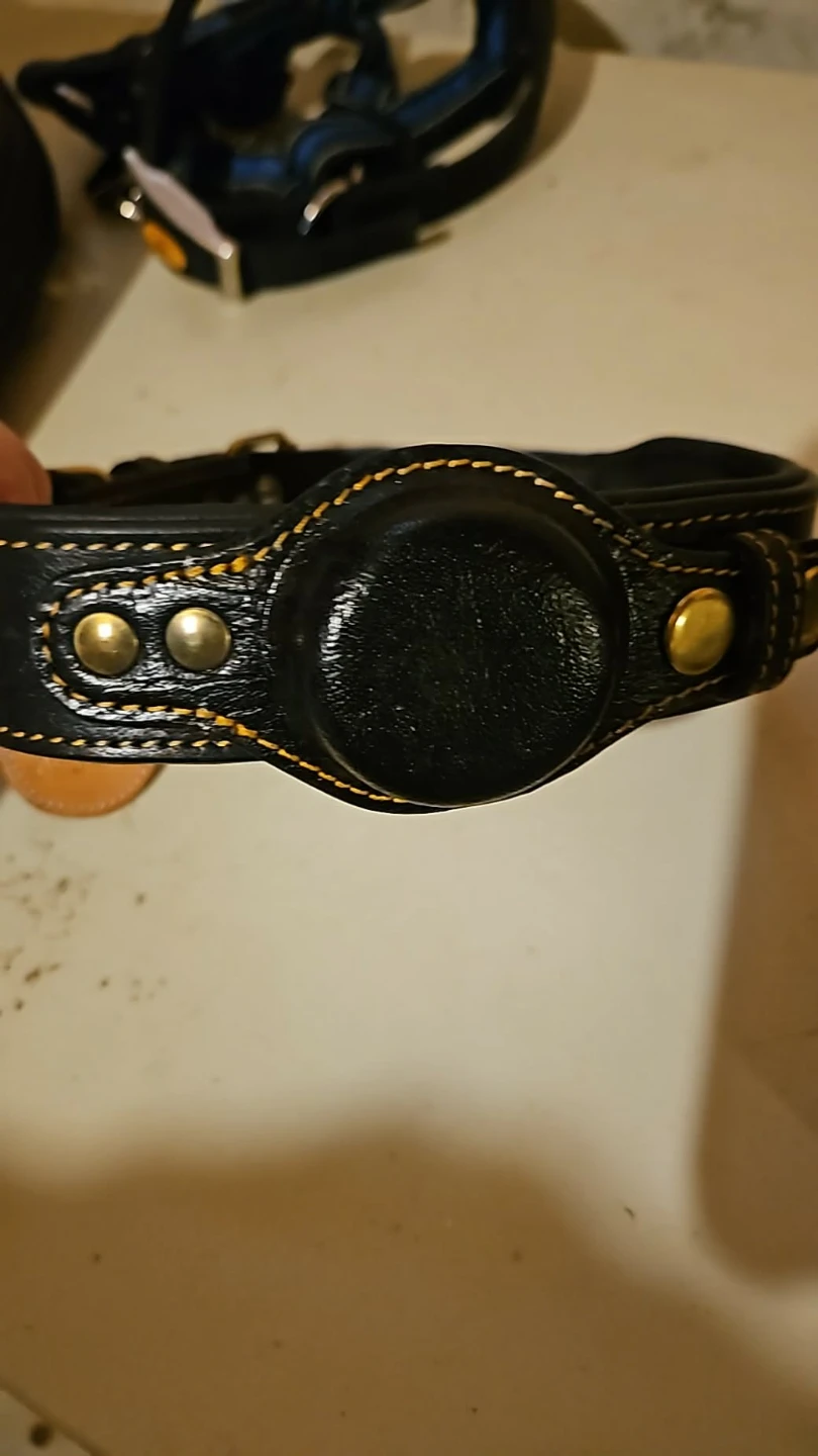 Black Leather Dog Collar with Studs - photo 2
