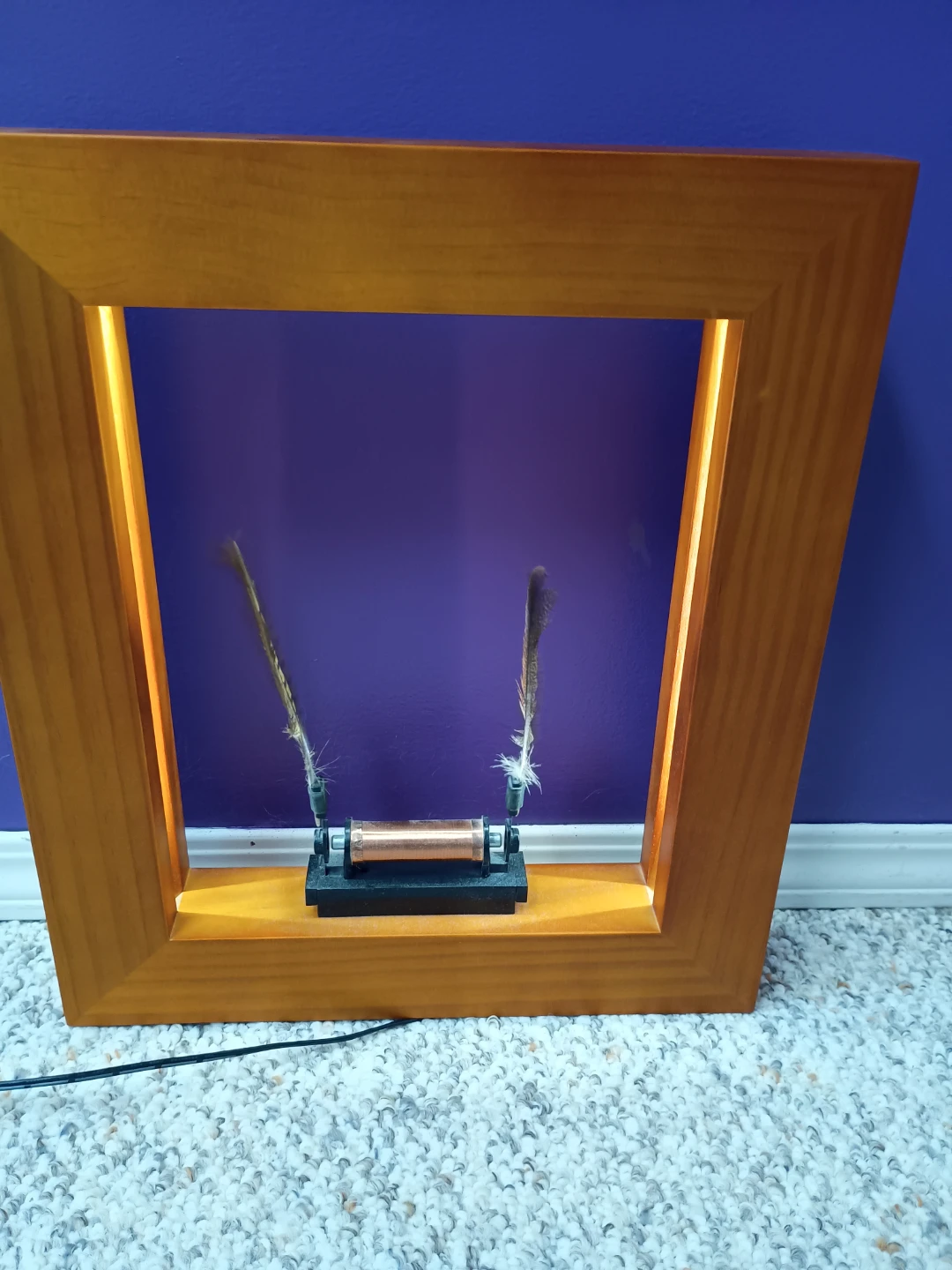Wooden Framed Feather Display with Light - photo 3