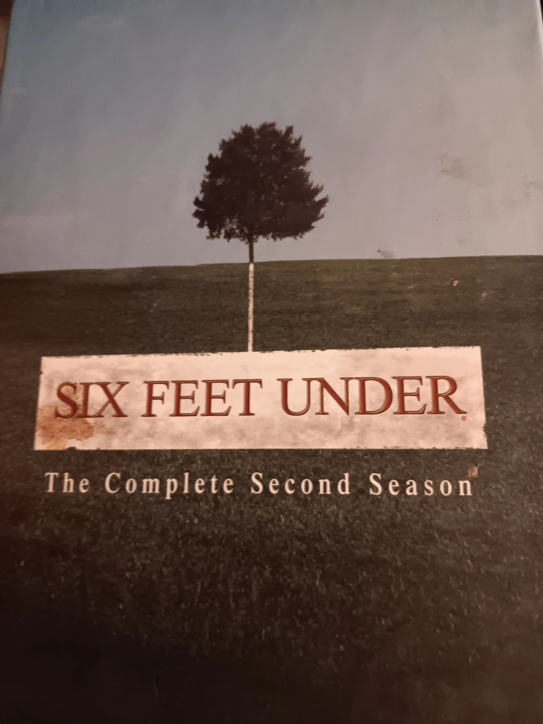 Six Feet Under: The Complete Second Season DVD Set
