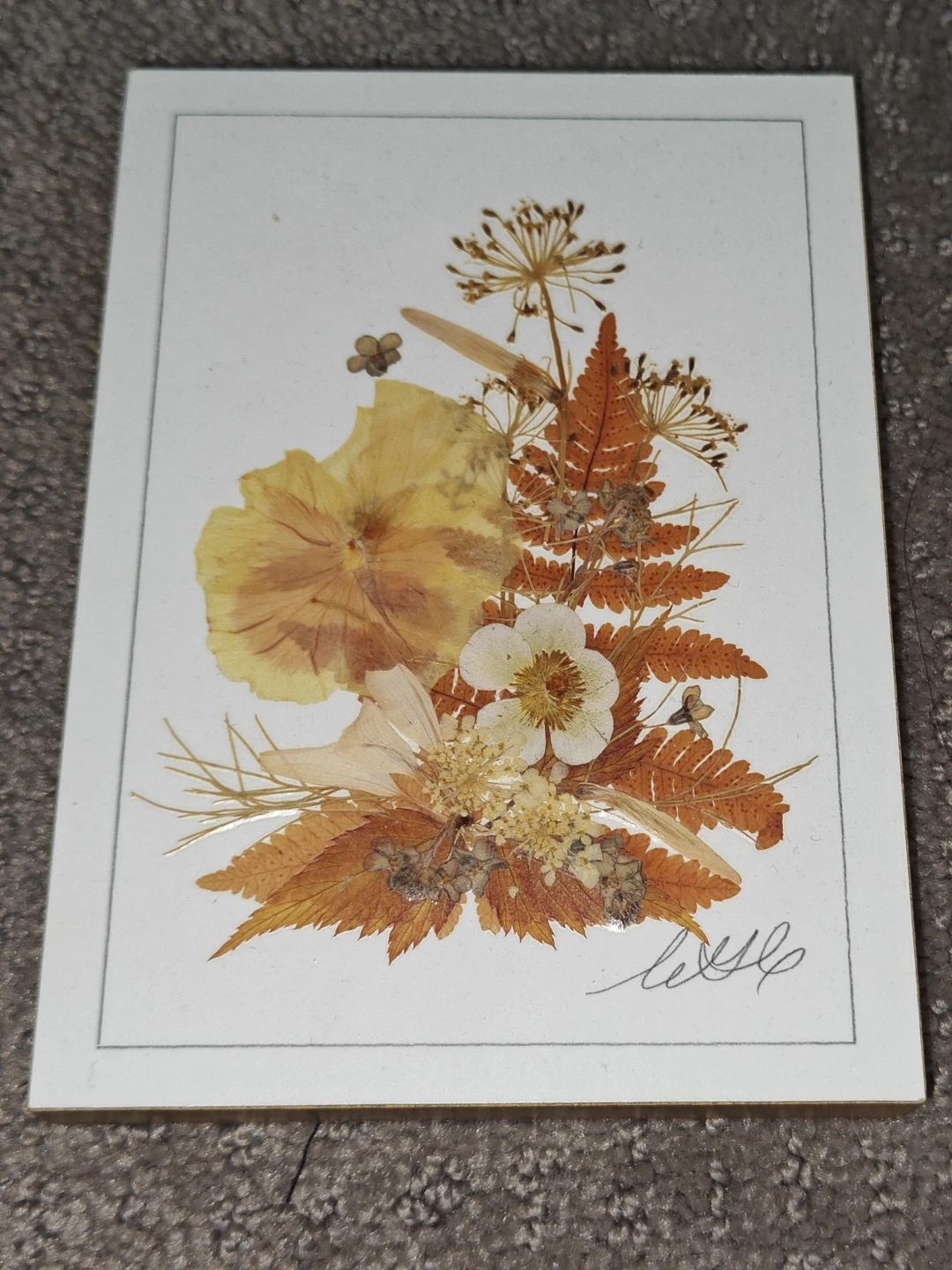 2 Hand-Pressed Preserved Flowers Botanical Art Wall Art - Canada - photo 3