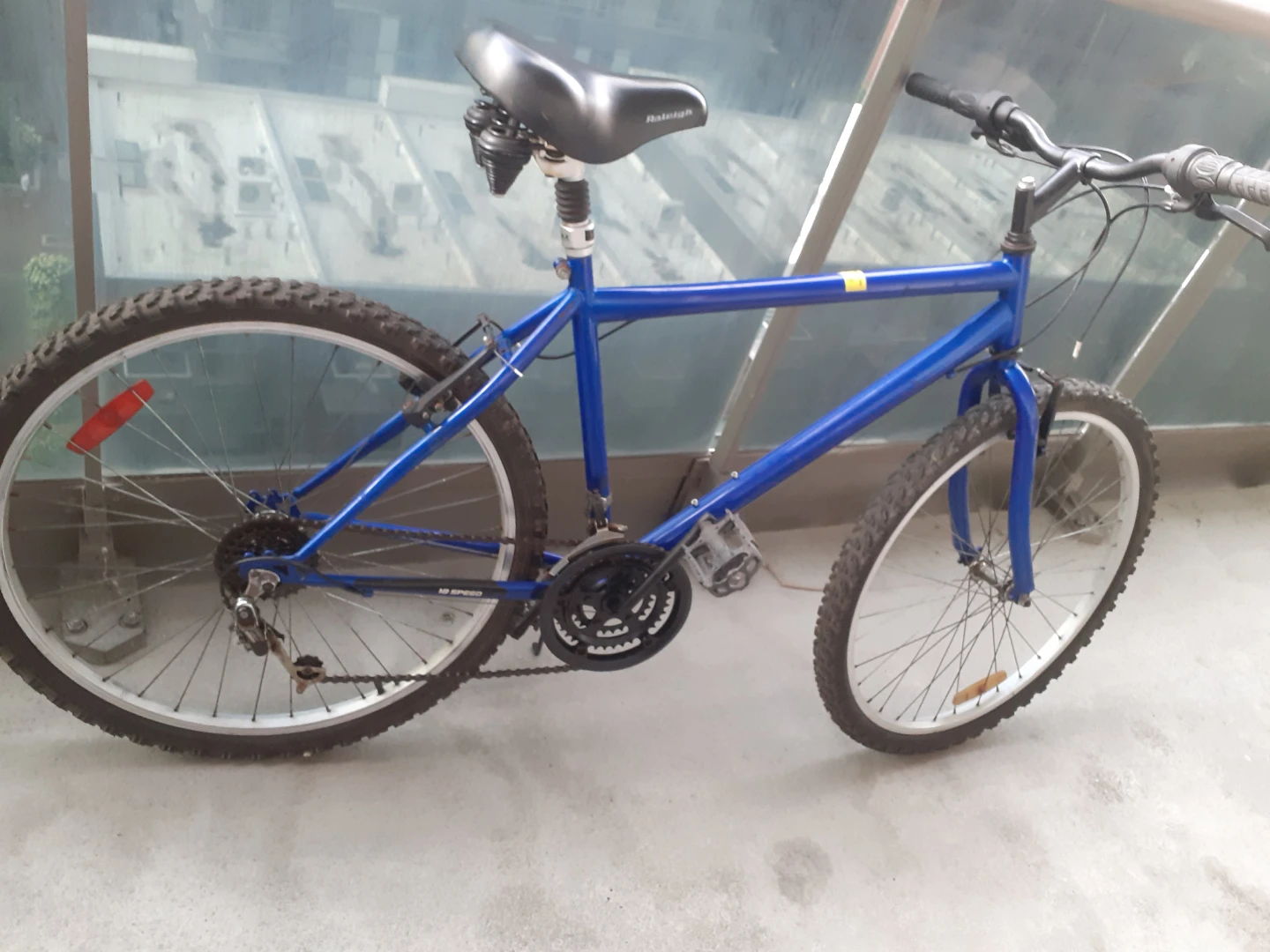 Blue Raleigh Mountain Bike