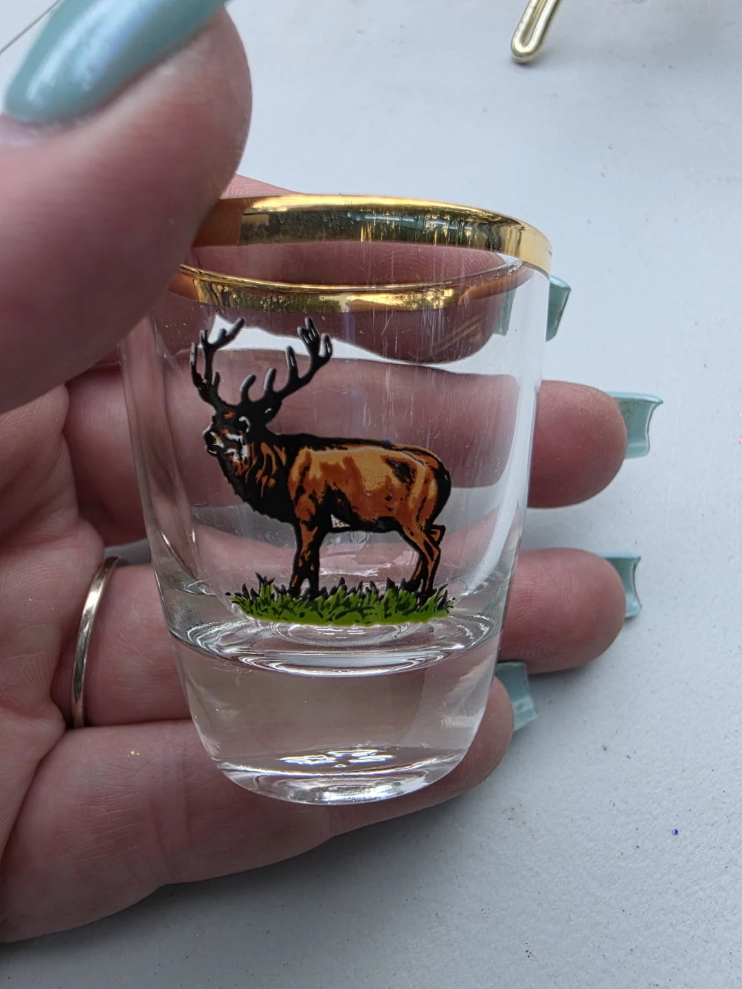 Vintage Shot Glass Set with Caddy - Animal Graphics - photo 4