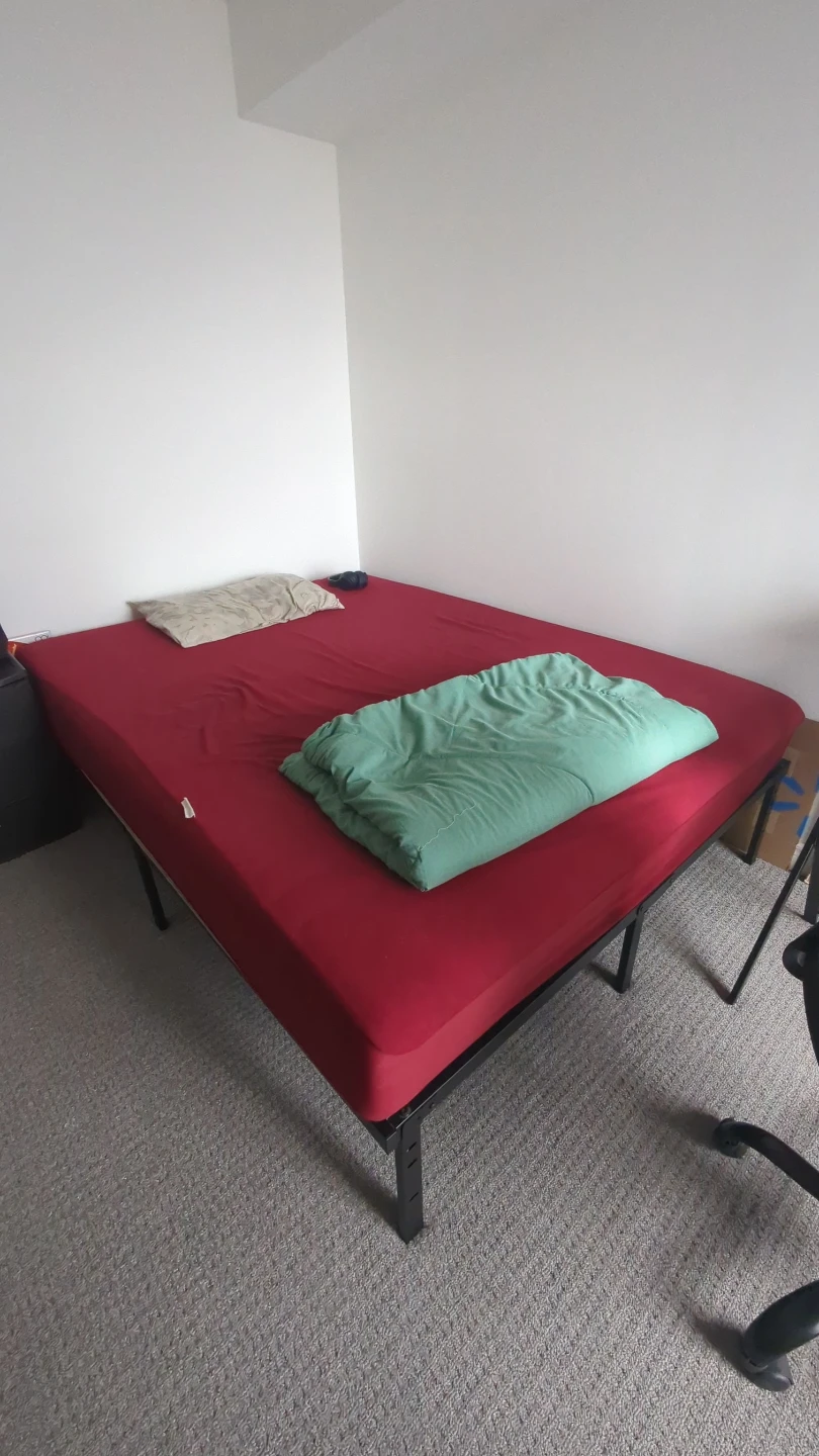 Metal Queen Bed Frame with IKEA Mattress