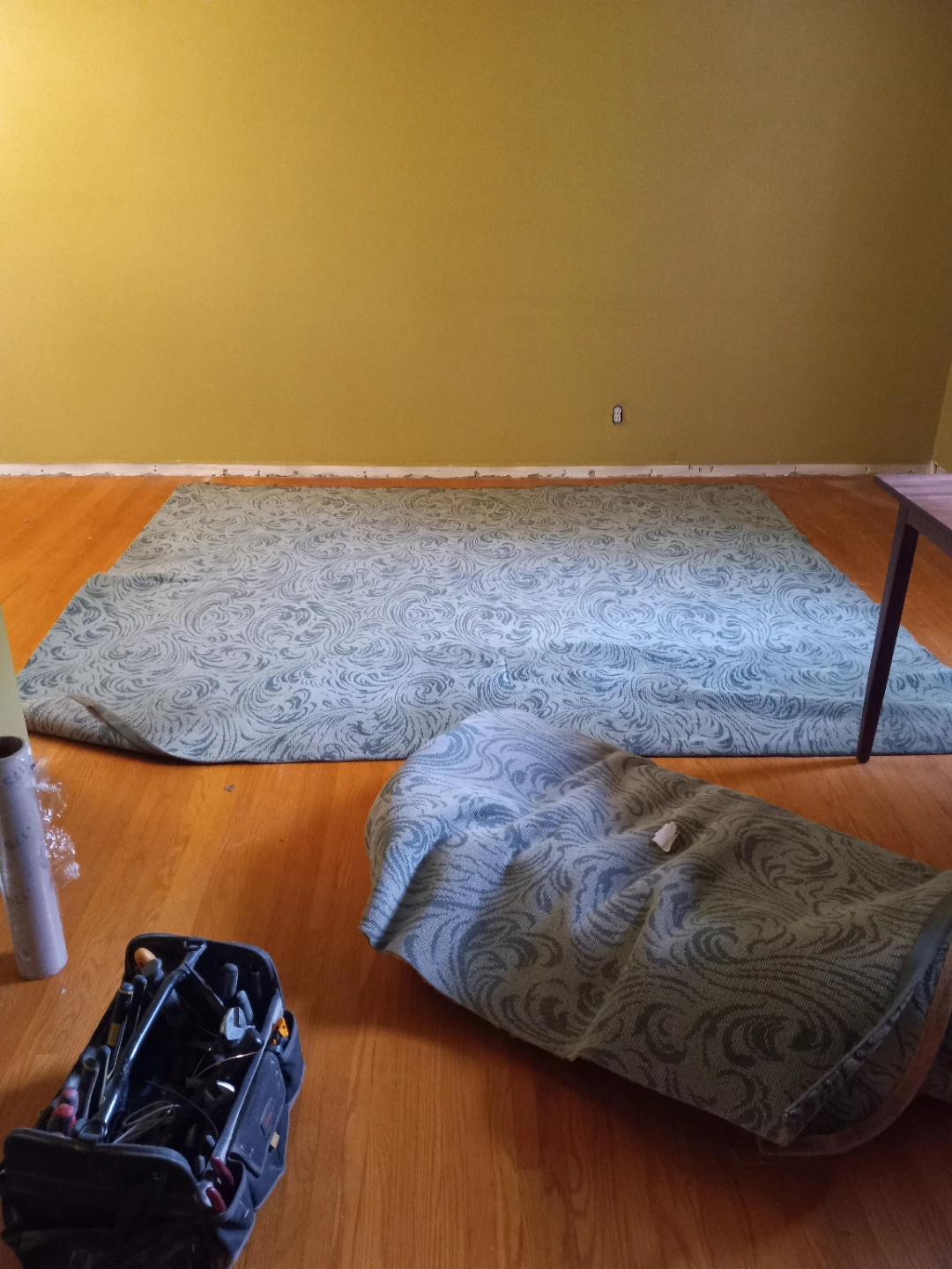 Carpets x 2