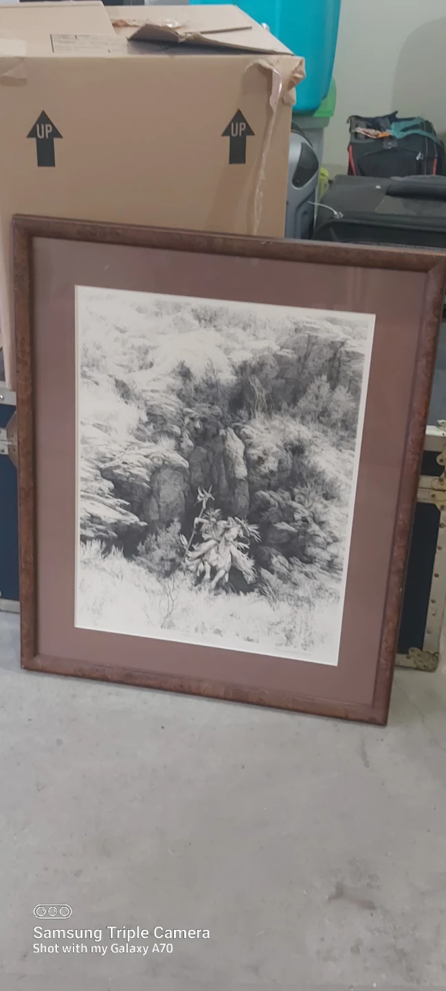 "Power of One." Framed Art Print by DoLittle- 173/300