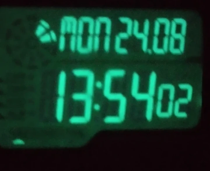 Timex Expedition Shock Digital Watch - Camo - photo 4