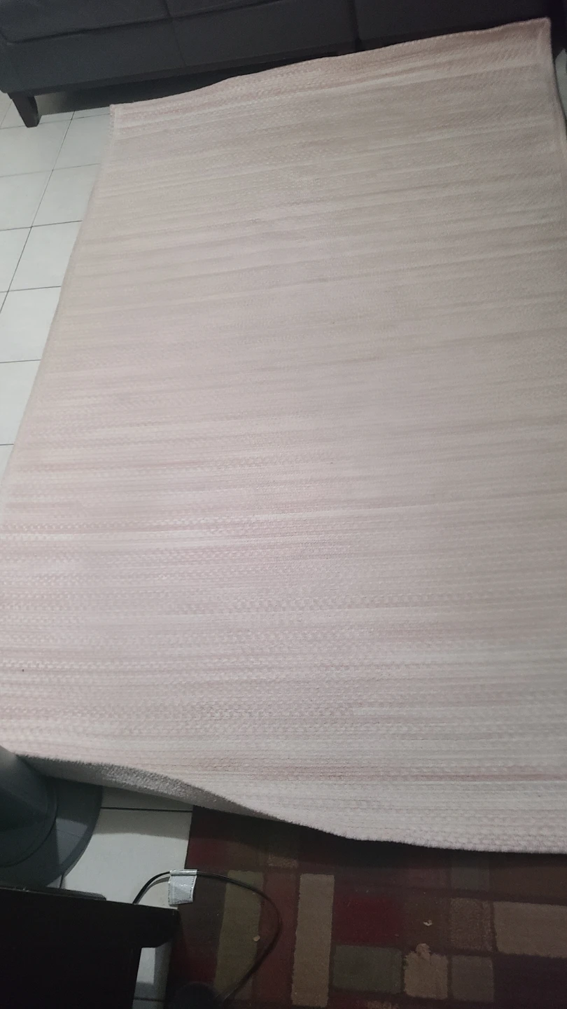 Large Striped Area Rug