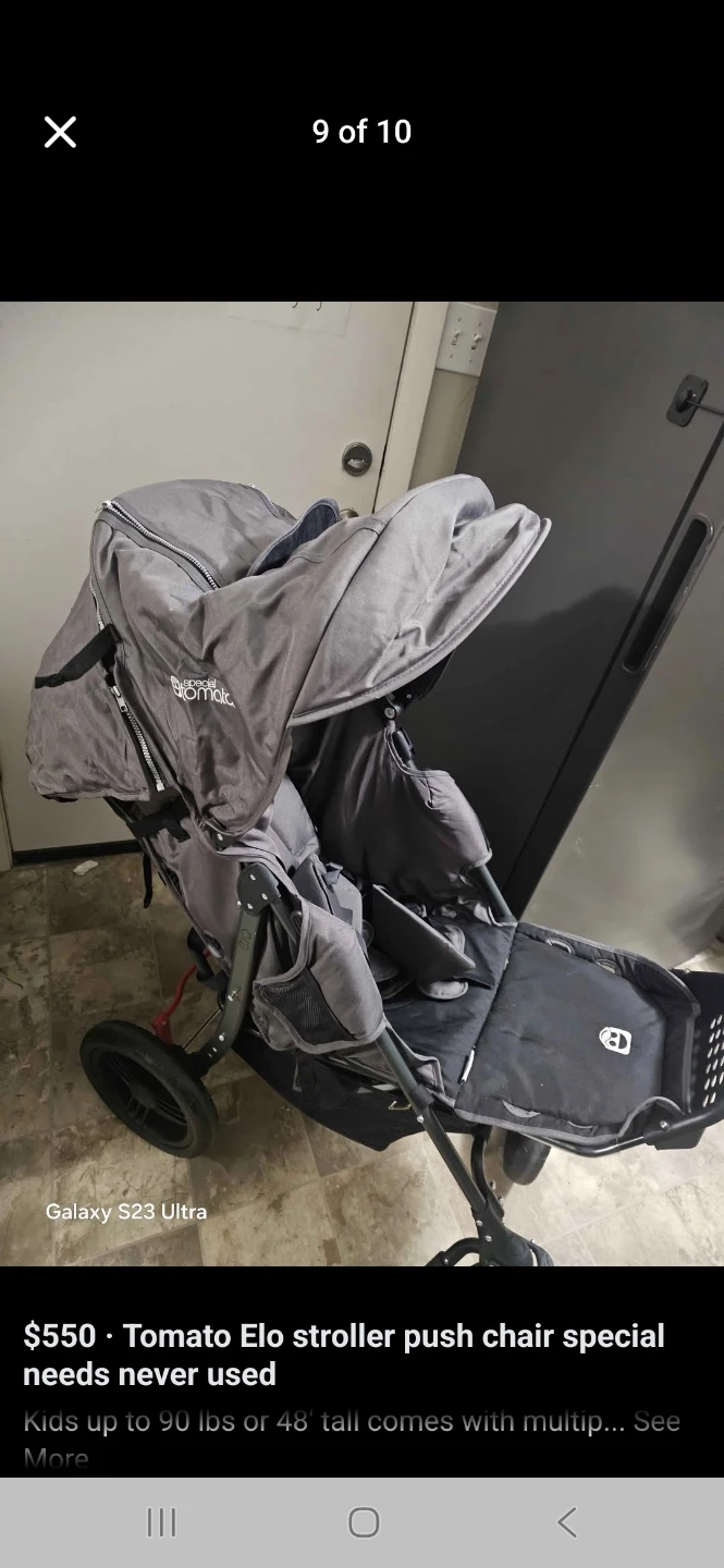 Tomato Elo Stroller special needs - photo 4