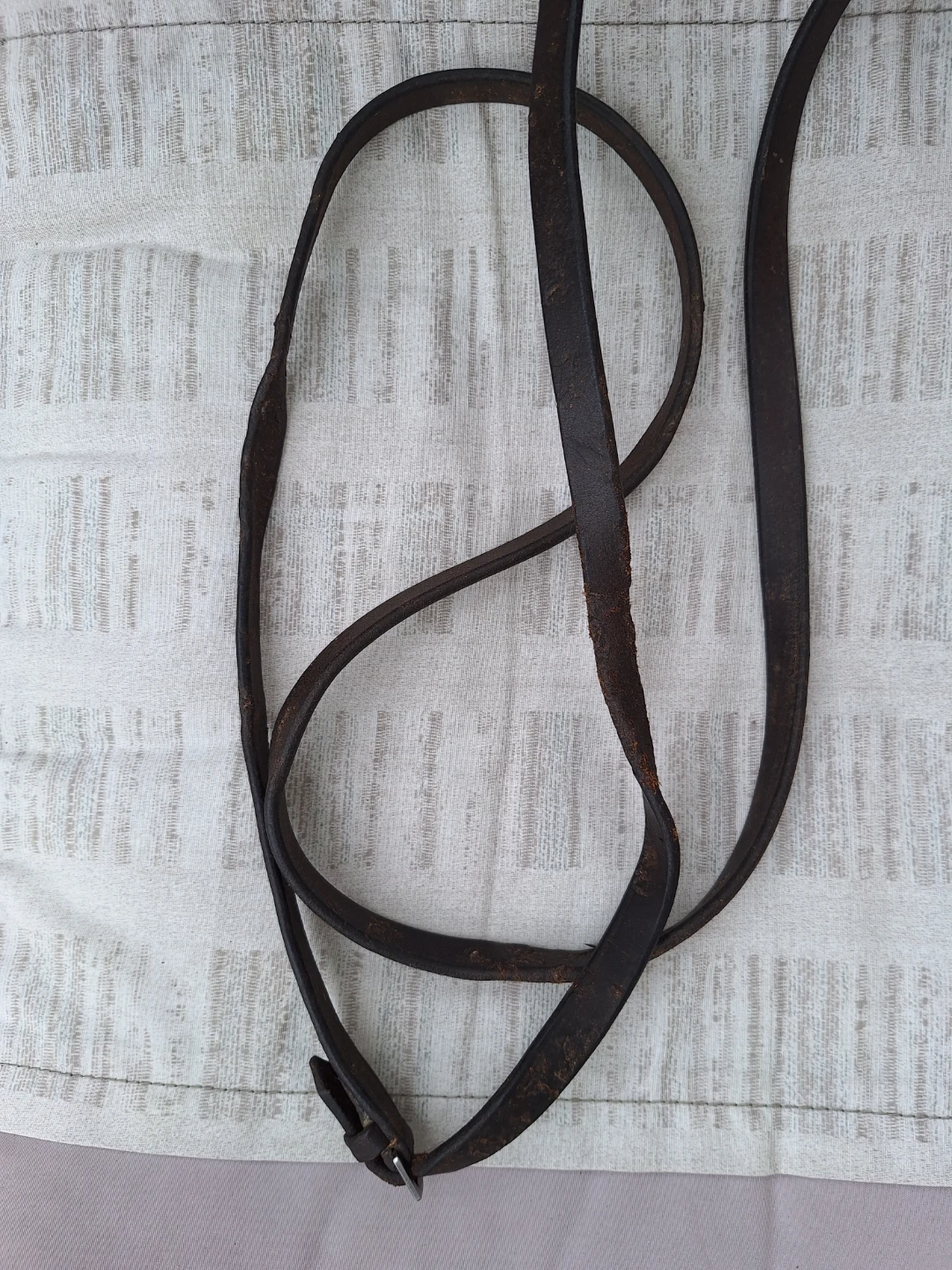 Horse Bridle with Korsteel Eggbutt Bit (Kit Cat Club rescue) - photo 3