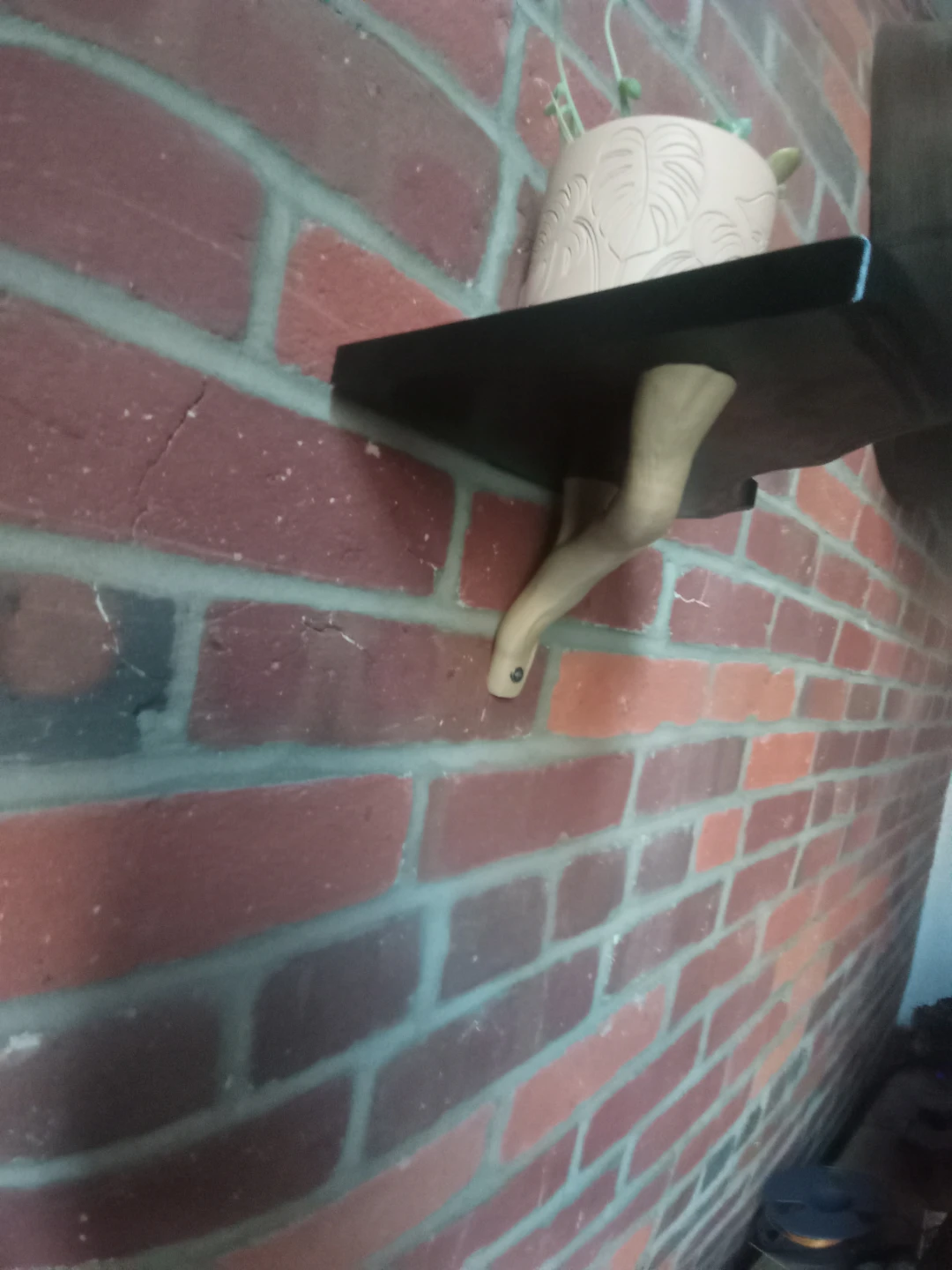Wall Mounted Shelf with Decorative Bracket - photo 5