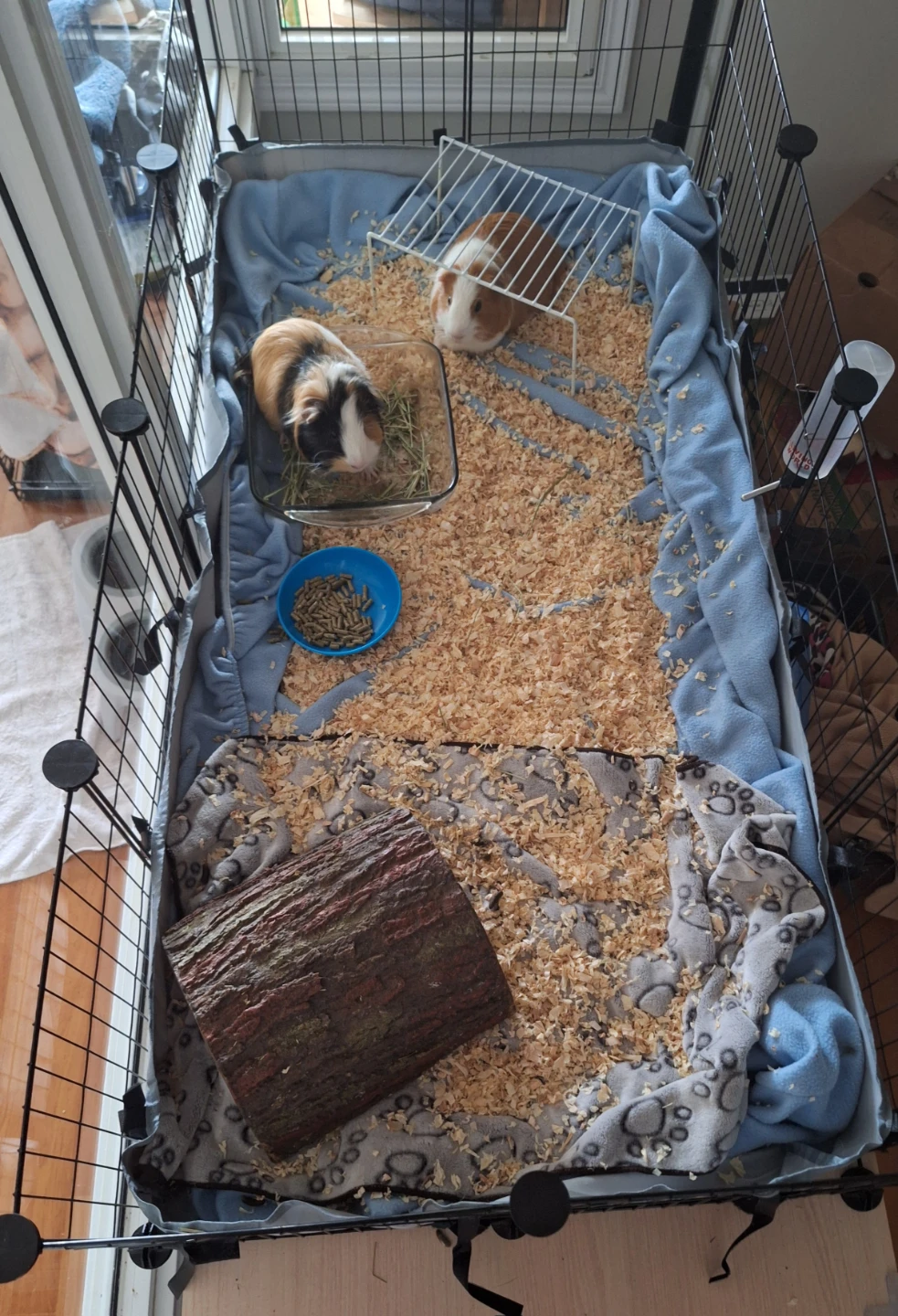 BUCATSTATE Guinea Pig Cage Playpen + Supplies