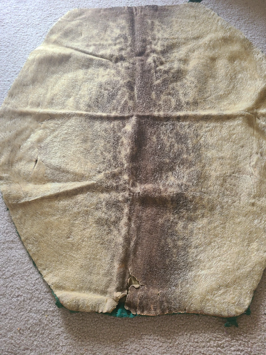 Seal skin