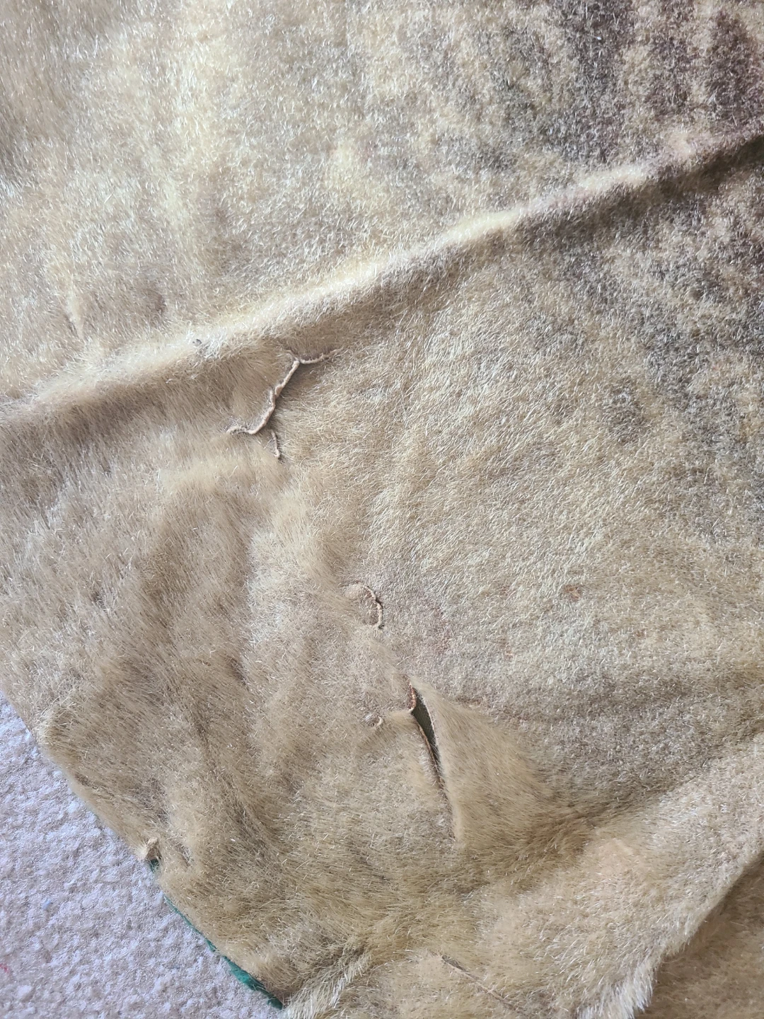 Seal skin - photo 2