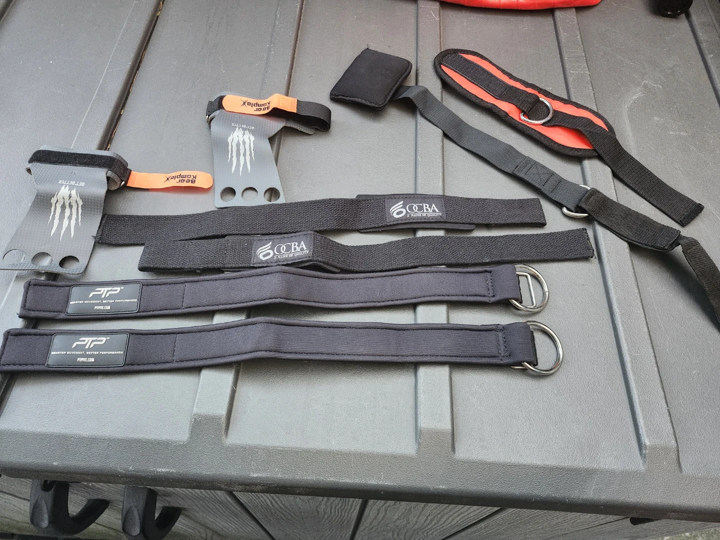 Bear KompleX & PTP Grip Pads and Straps - photo 5