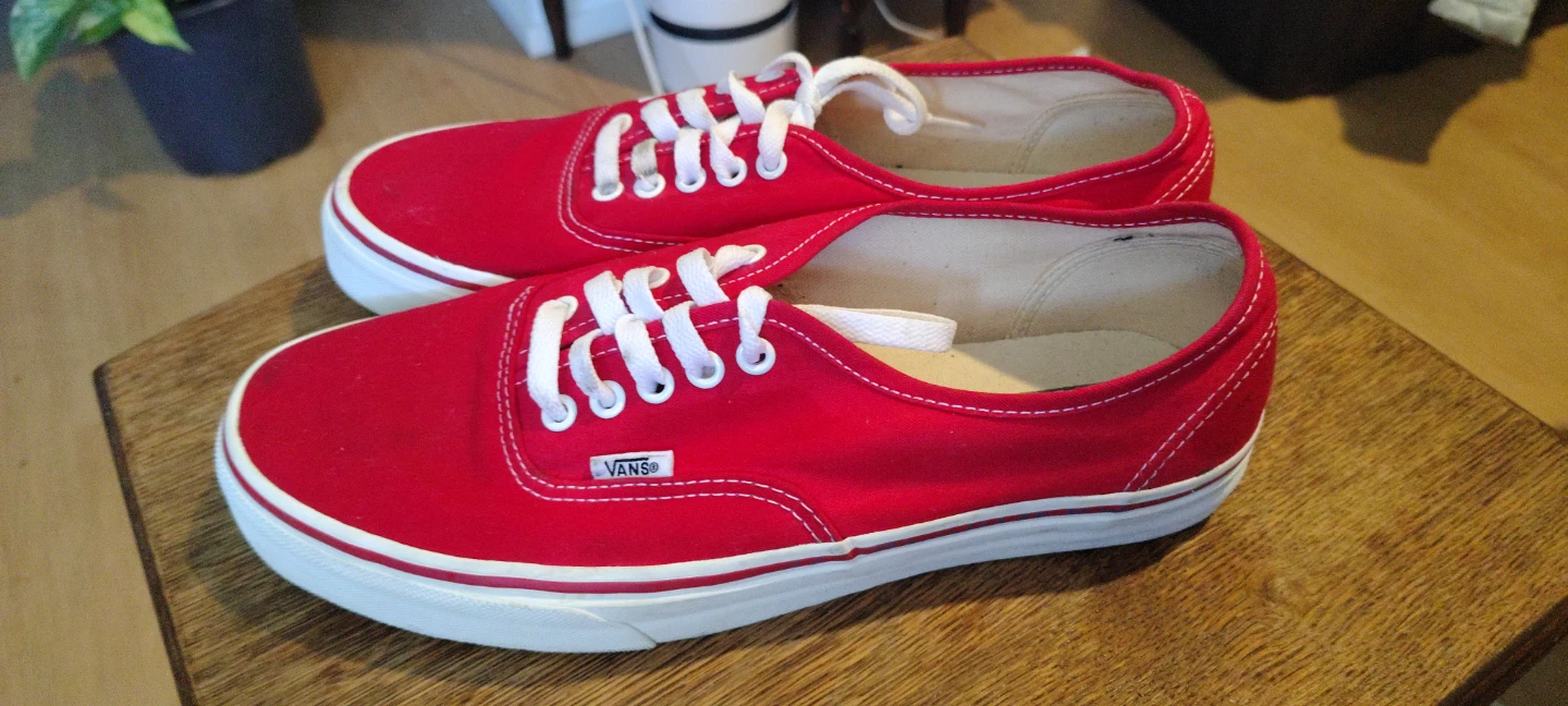 Vans Authentic Red Canvas Shoes - photo 3