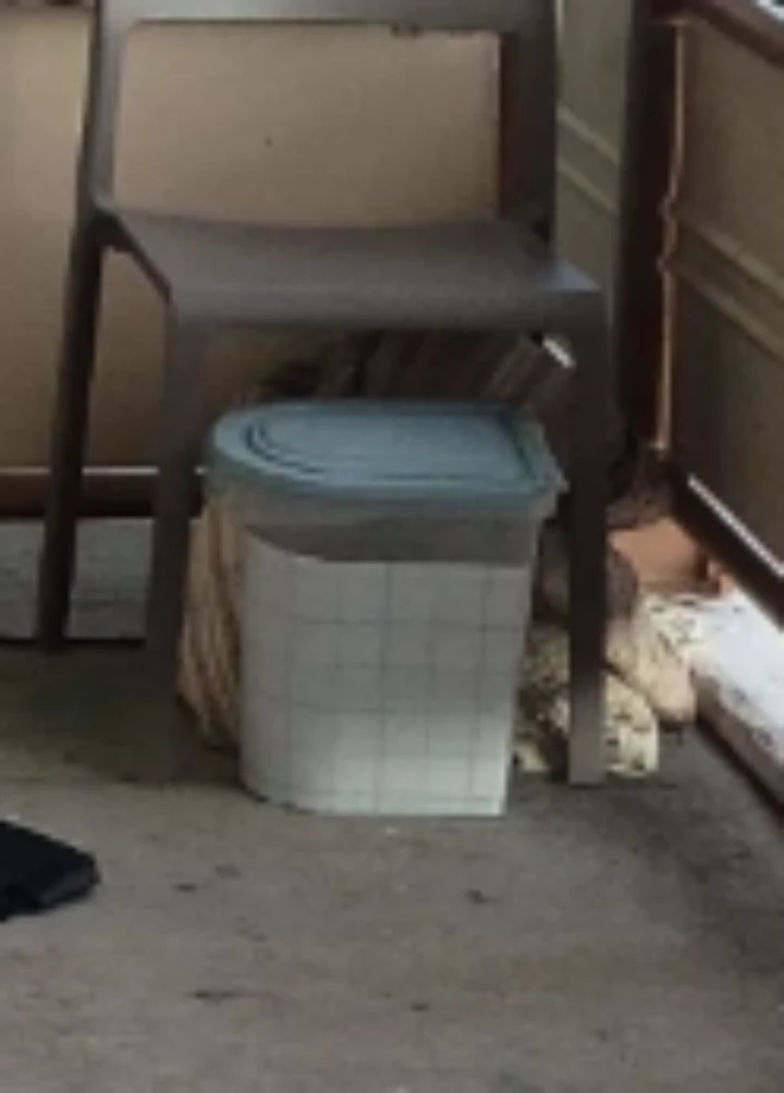 Plastic Storage Container