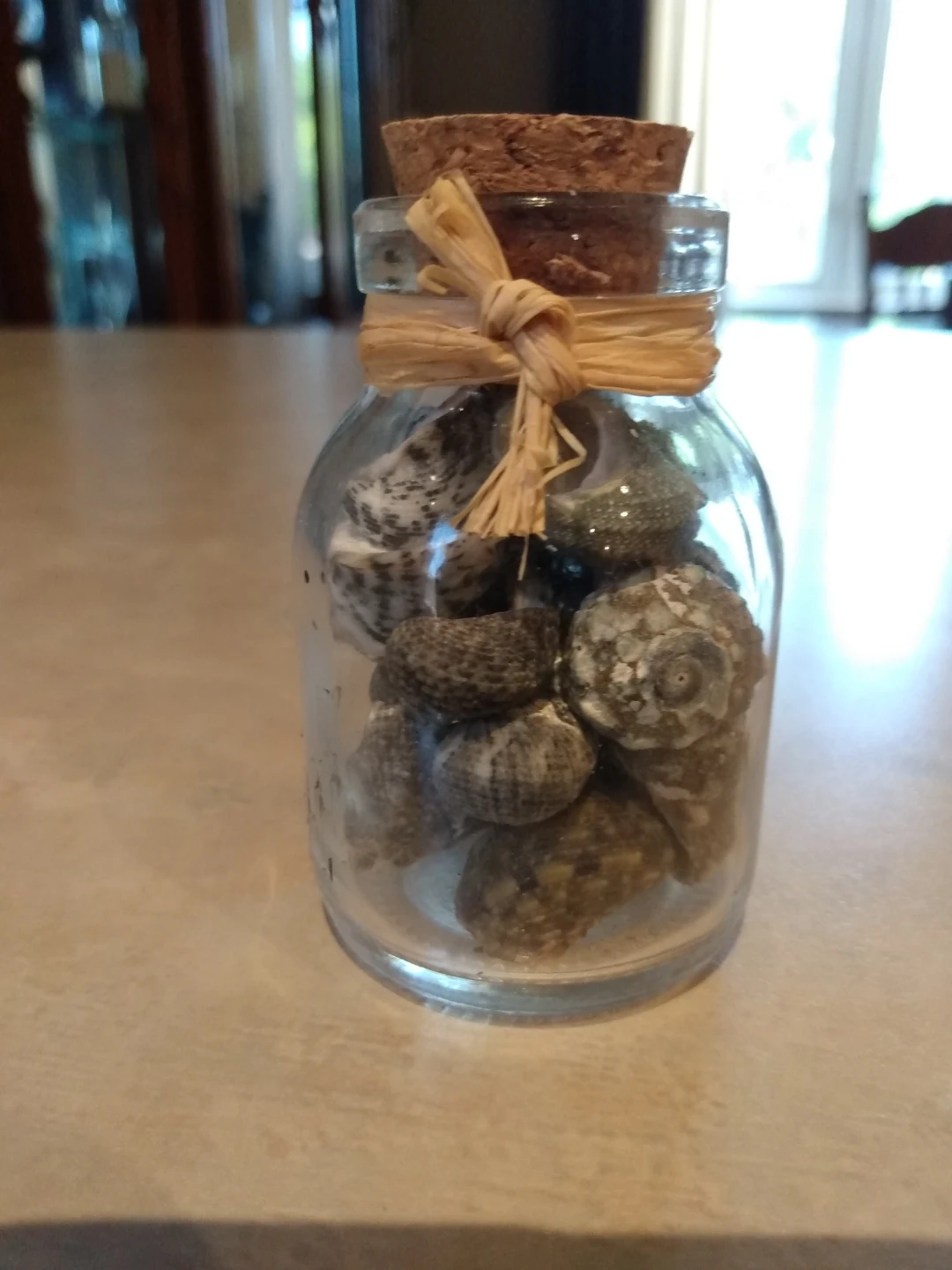 Seashells in a Jar