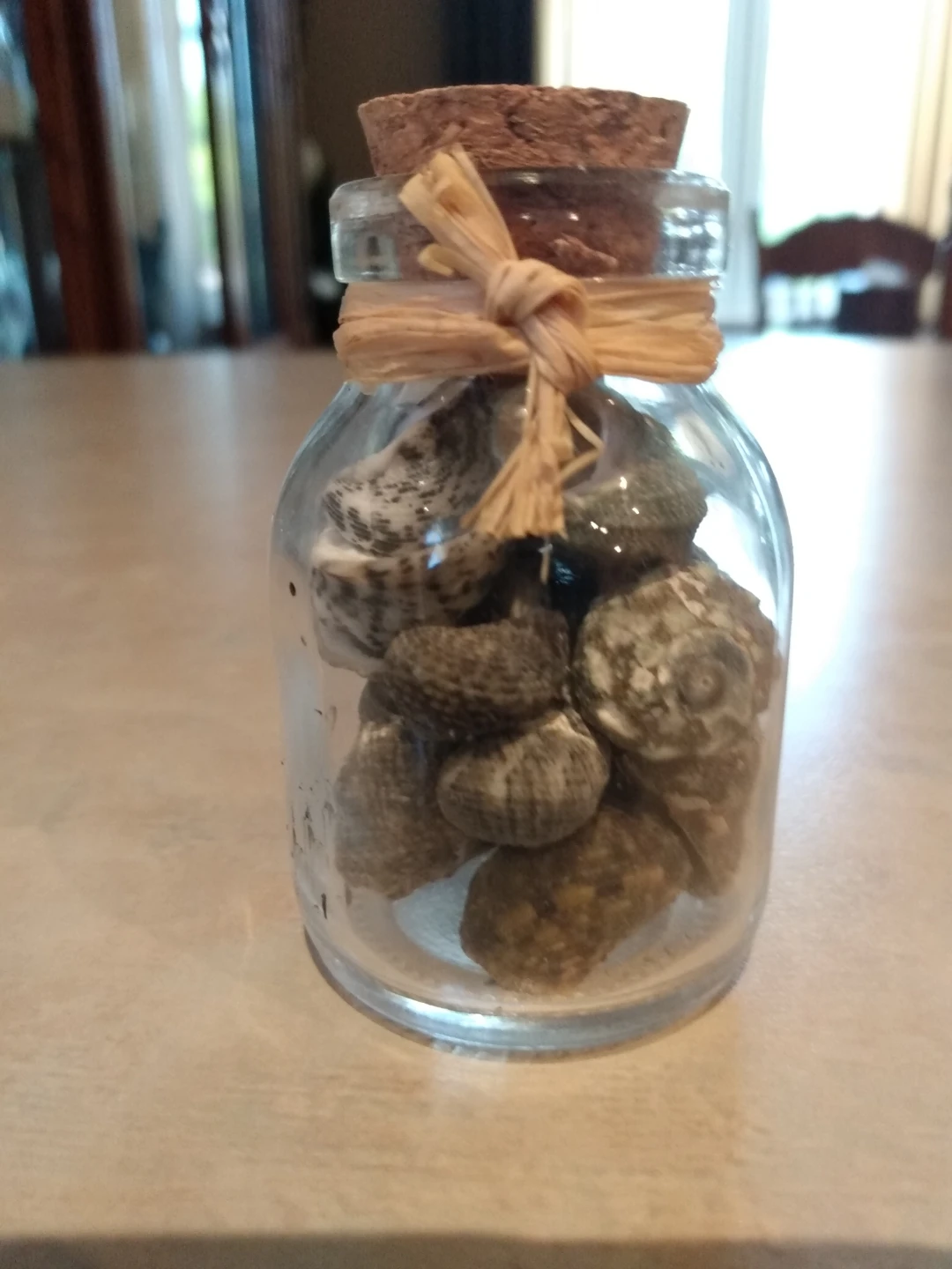 Seashells in a Jar - photo 2