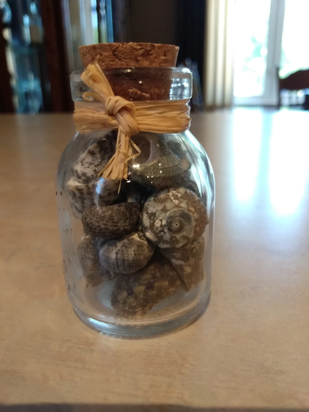 Seashells in a Jar - photo 3