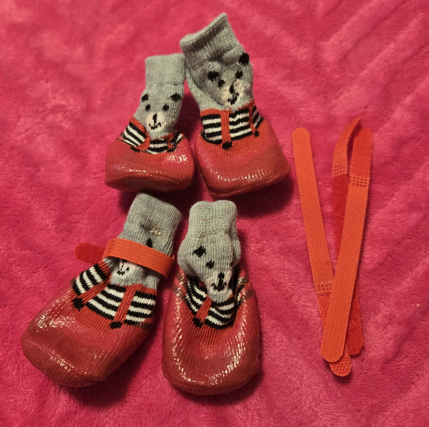 Dog Socks with Grippy Soles