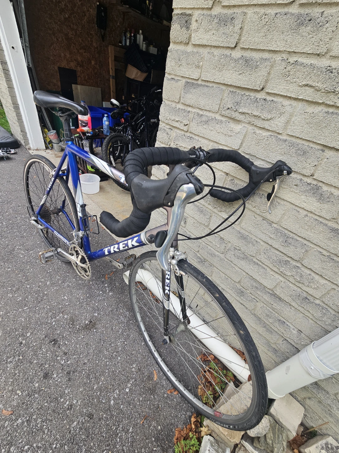 Trek Road Bike