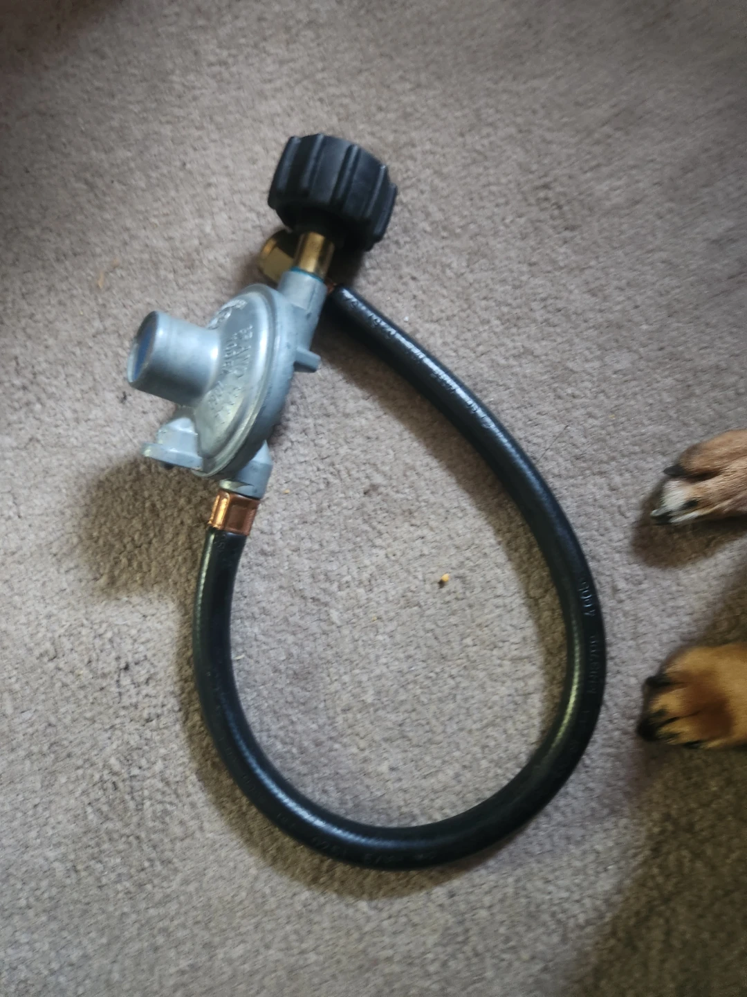 Propane Regulator with Hose