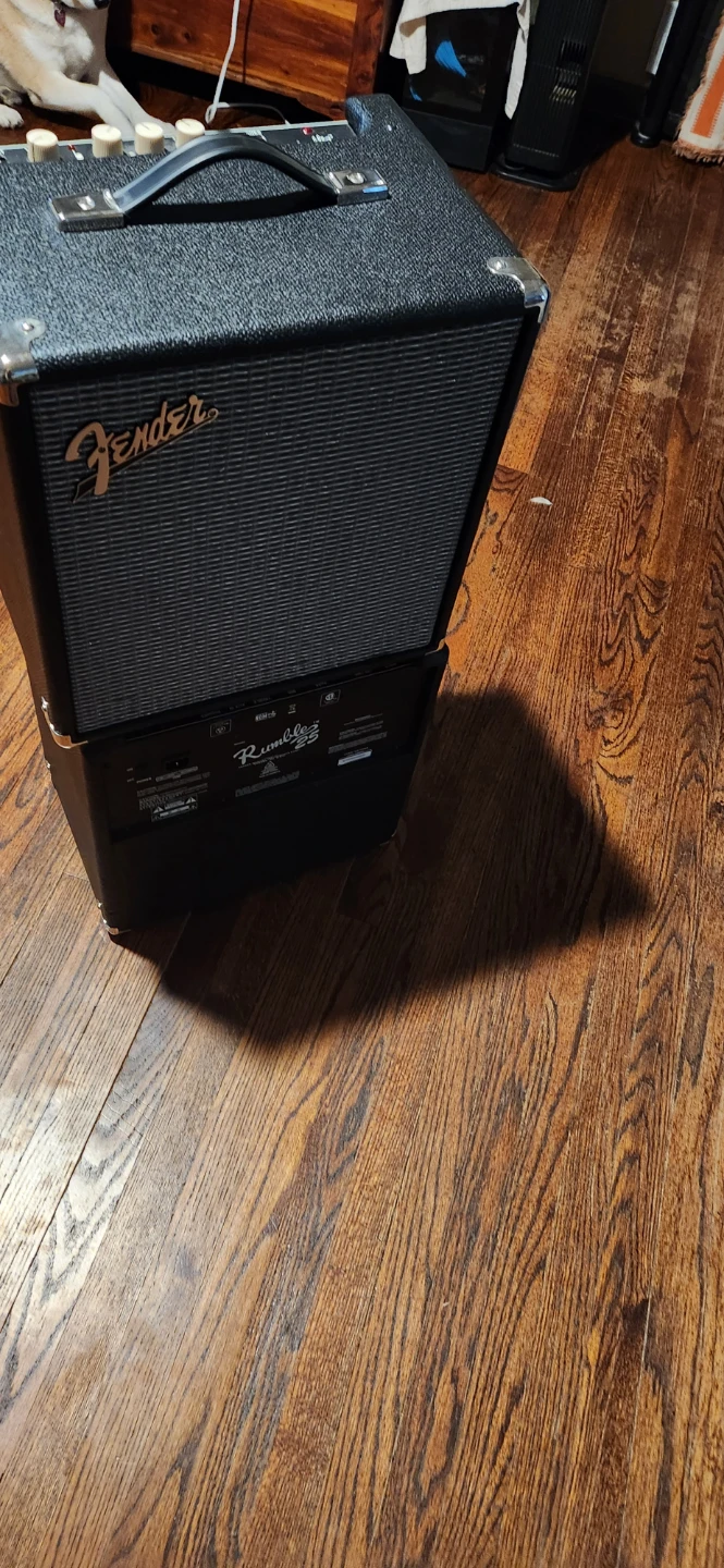 Fender Rumble 25 Bass Amplifier 2 for 1 best bet for price - photo 3