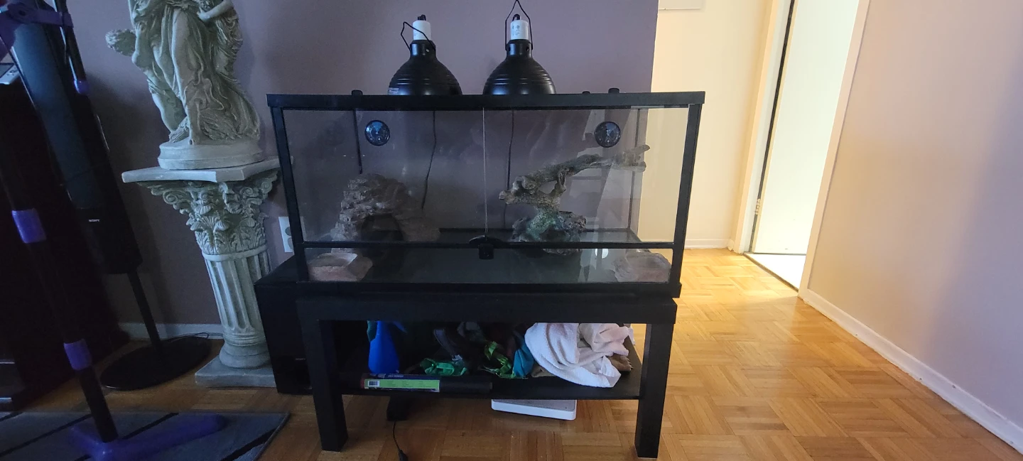 36 Gallon Reptile Terrarium Tank