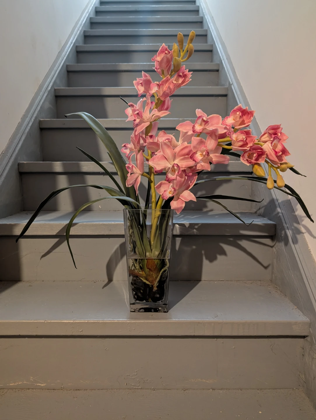 Pink Orchid Arrangement in Glass Vase