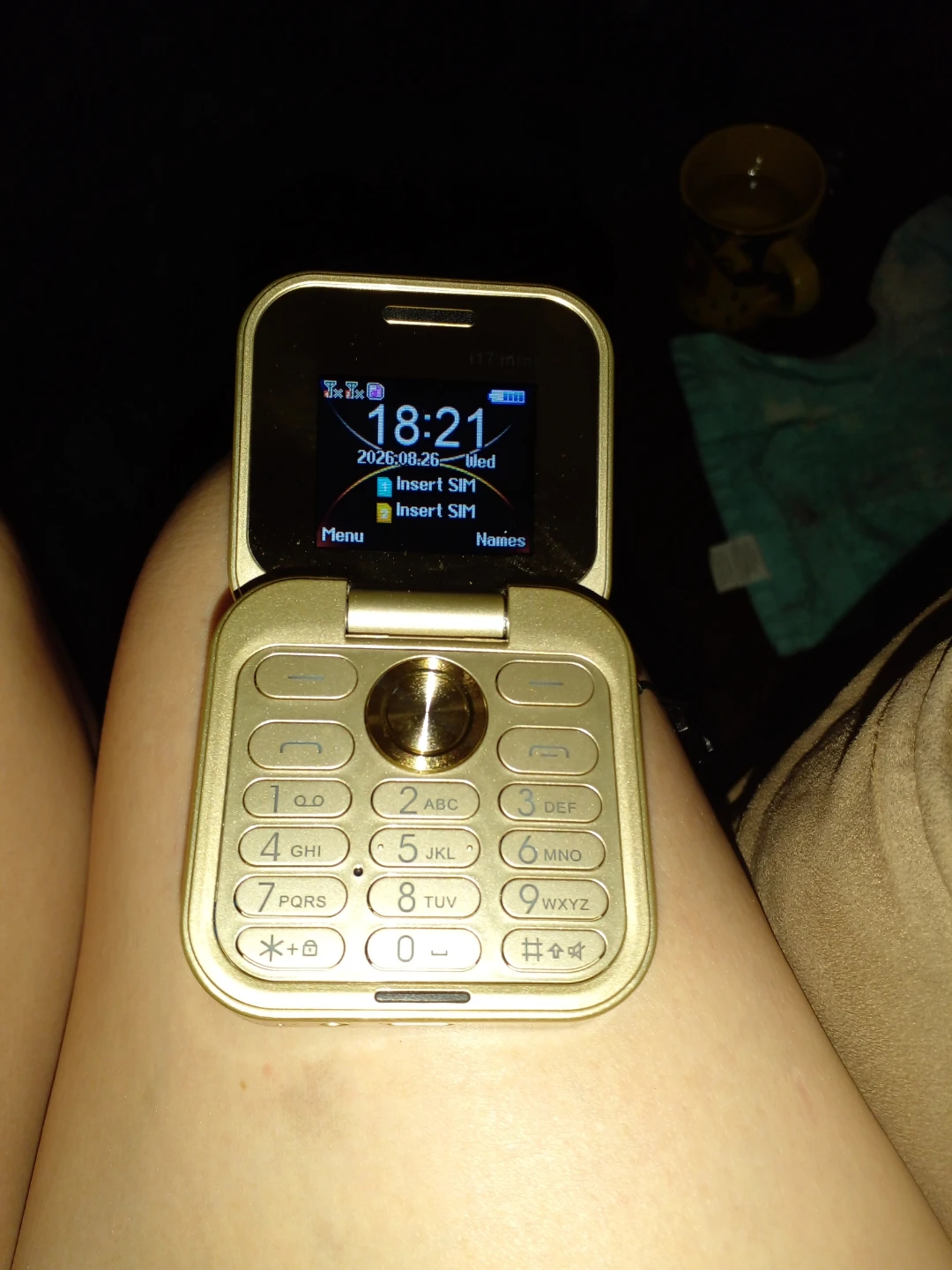 Gold Flip Phone I 17 mini