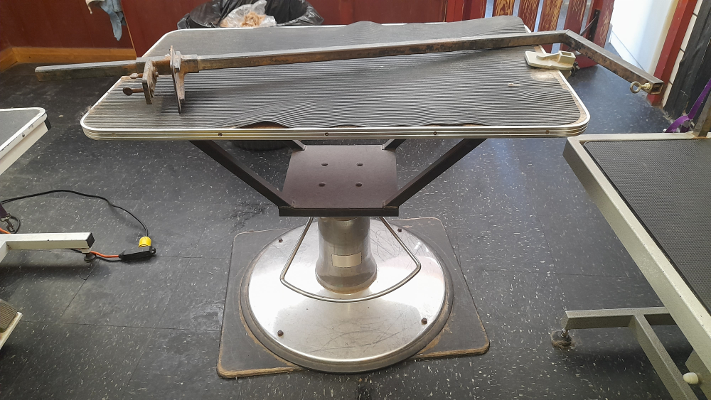 Adjustable Grooming Table with Hydraulic Base
