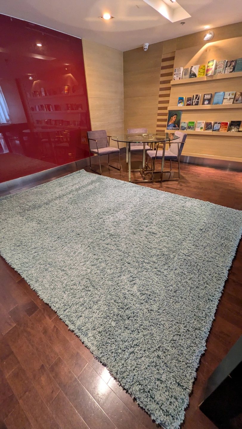 Unique Loom Solo Solid Shag Rug, incl. Underpad, 10' x 7'