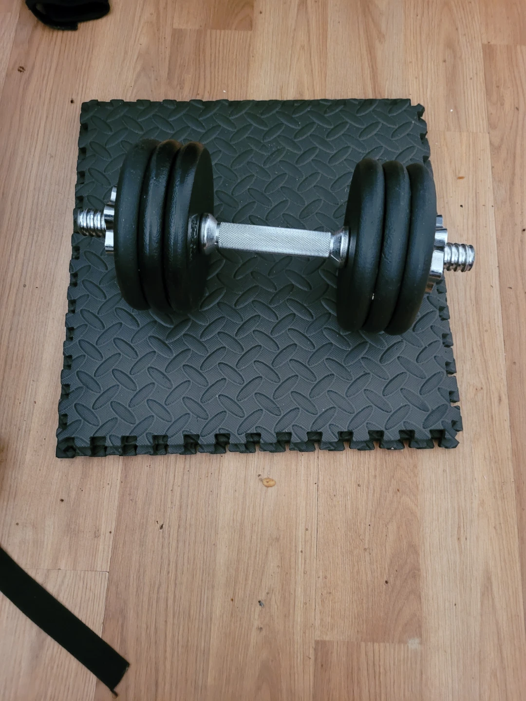 Adjustable Dumbbell Set