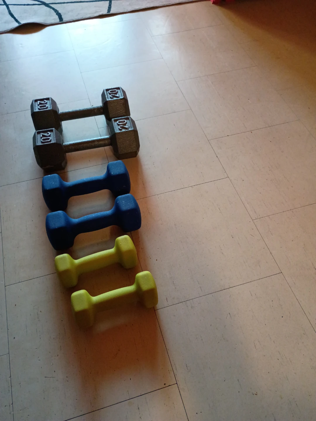 Hex Dumbbell Set 5lb 10lb 20lb