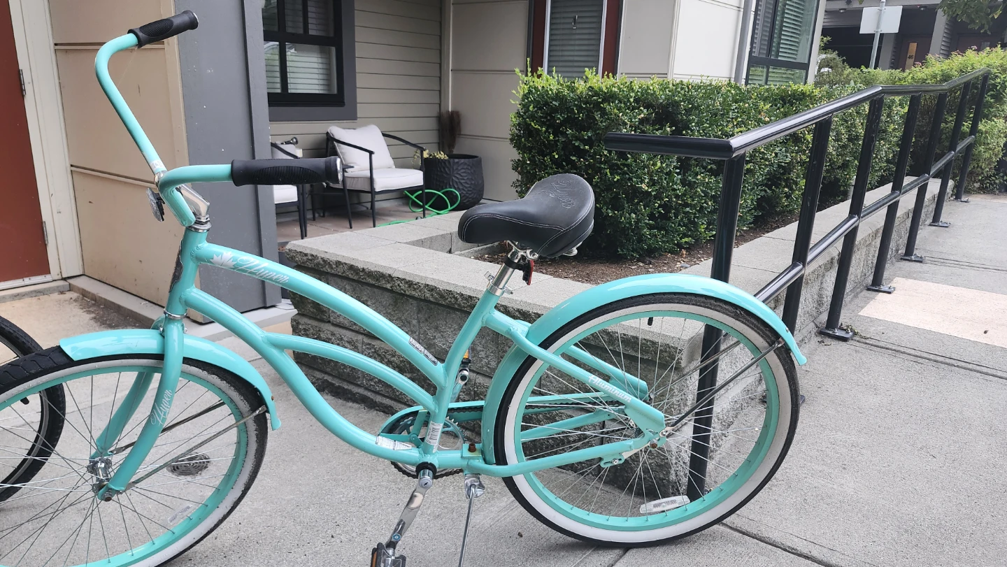 Dynamic  Bike