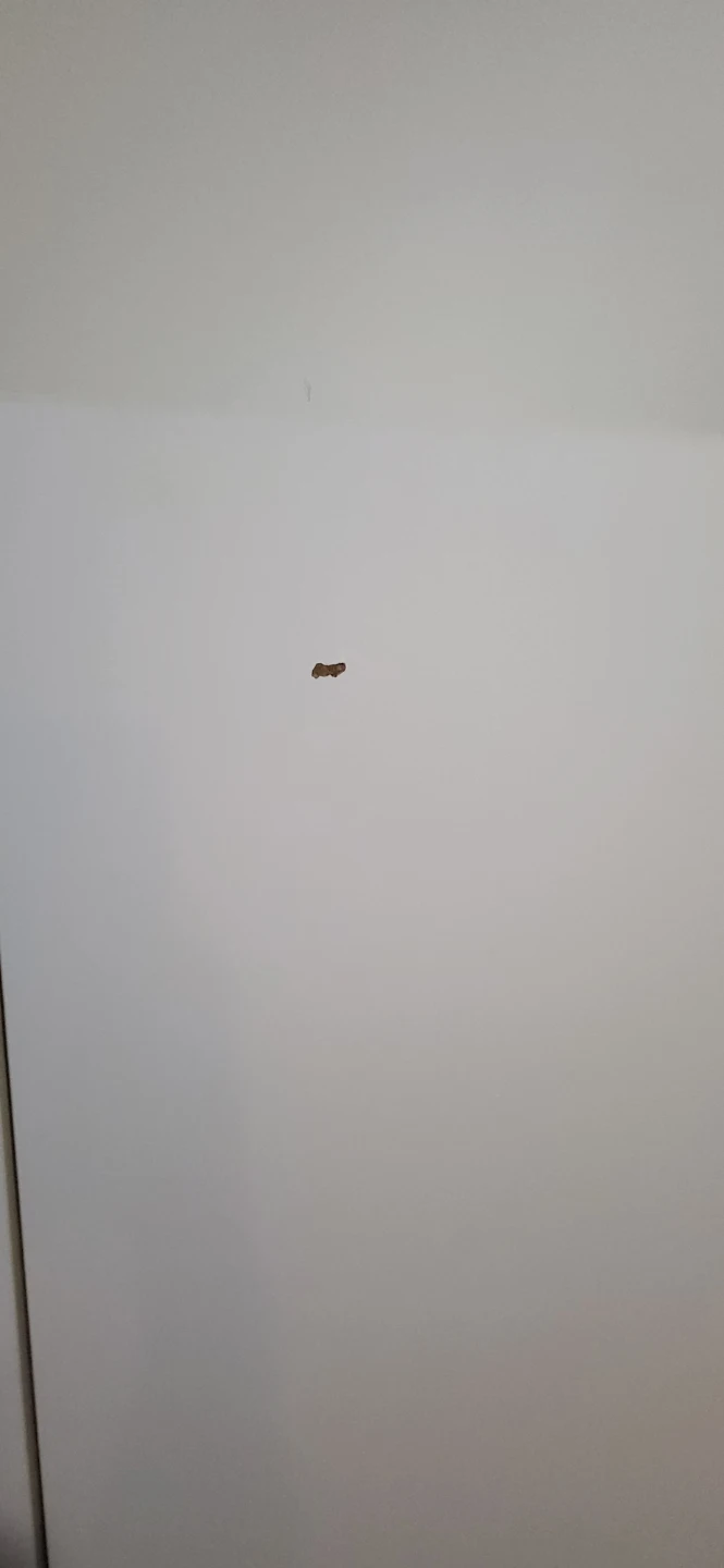 Solid Wood White Cabinet - photo 5