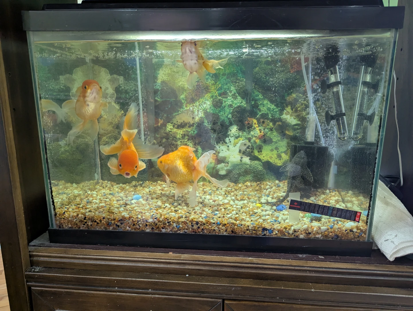 Wooden Aquarium Stand with Tank - photo 3