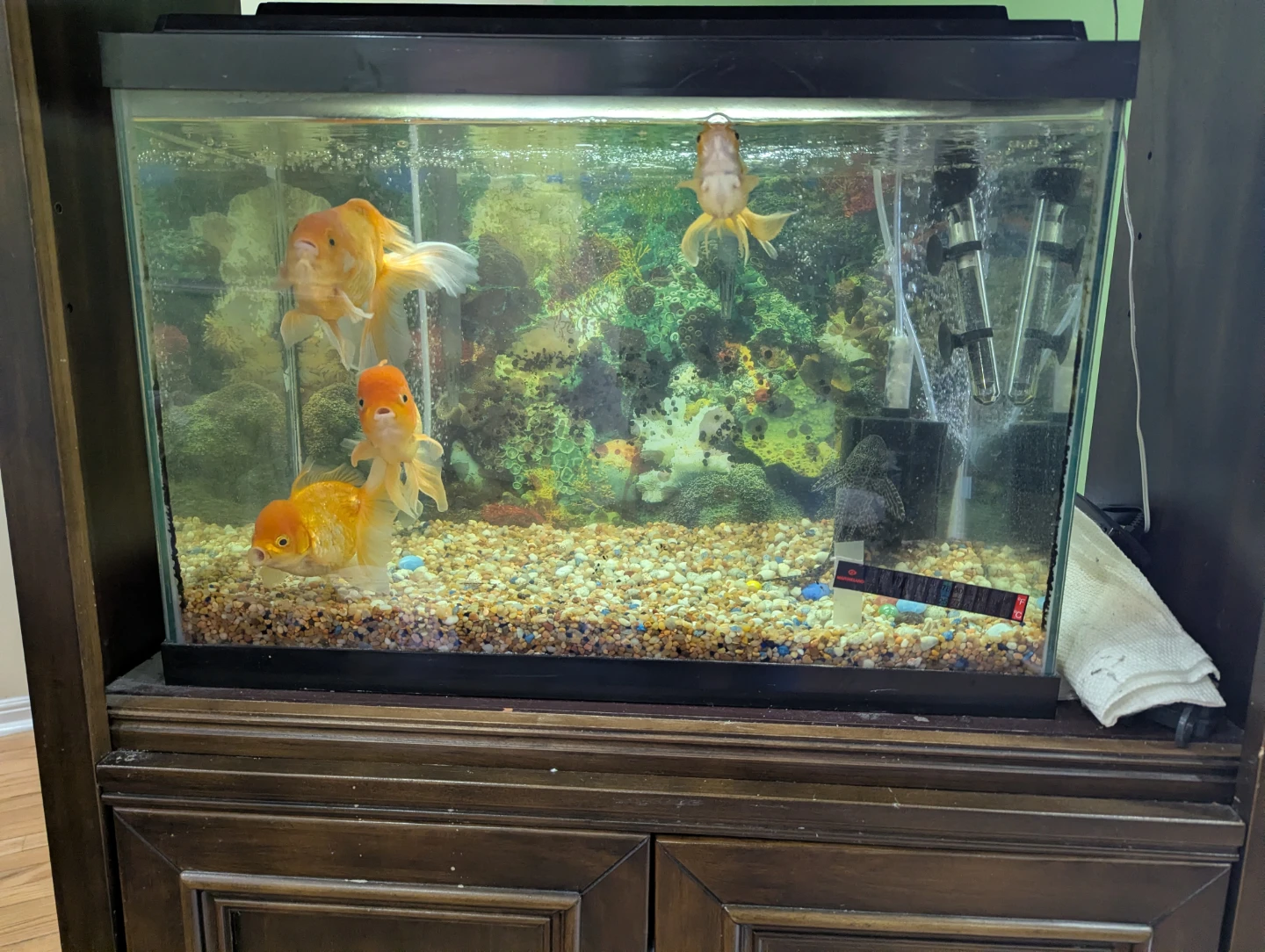 Wooden Aquarium Stand with Tank - photo 4