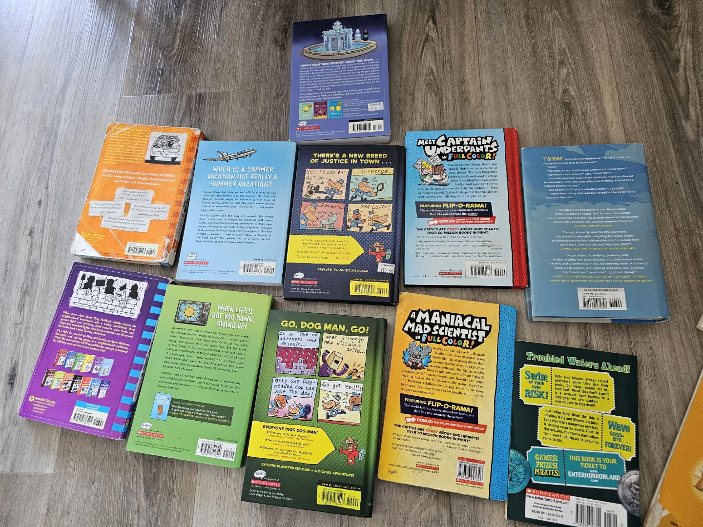 Collection of Dav Pilkey and Scholastic Children's Books - photo 2