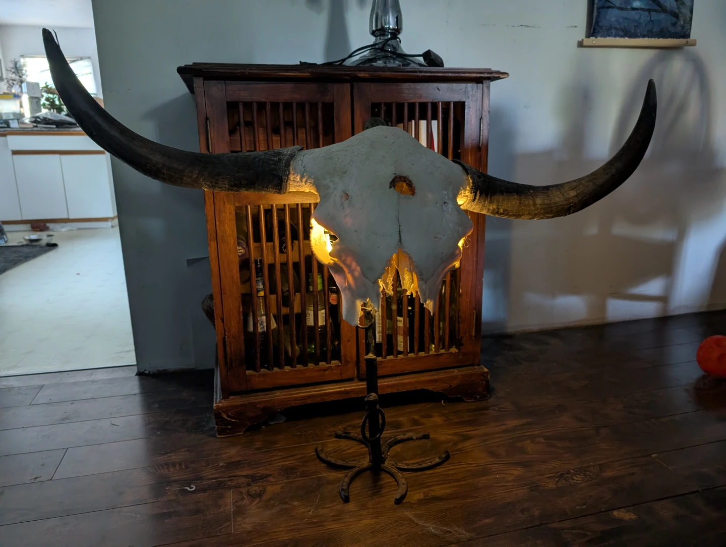 Bull Skull on custom stand and back lit