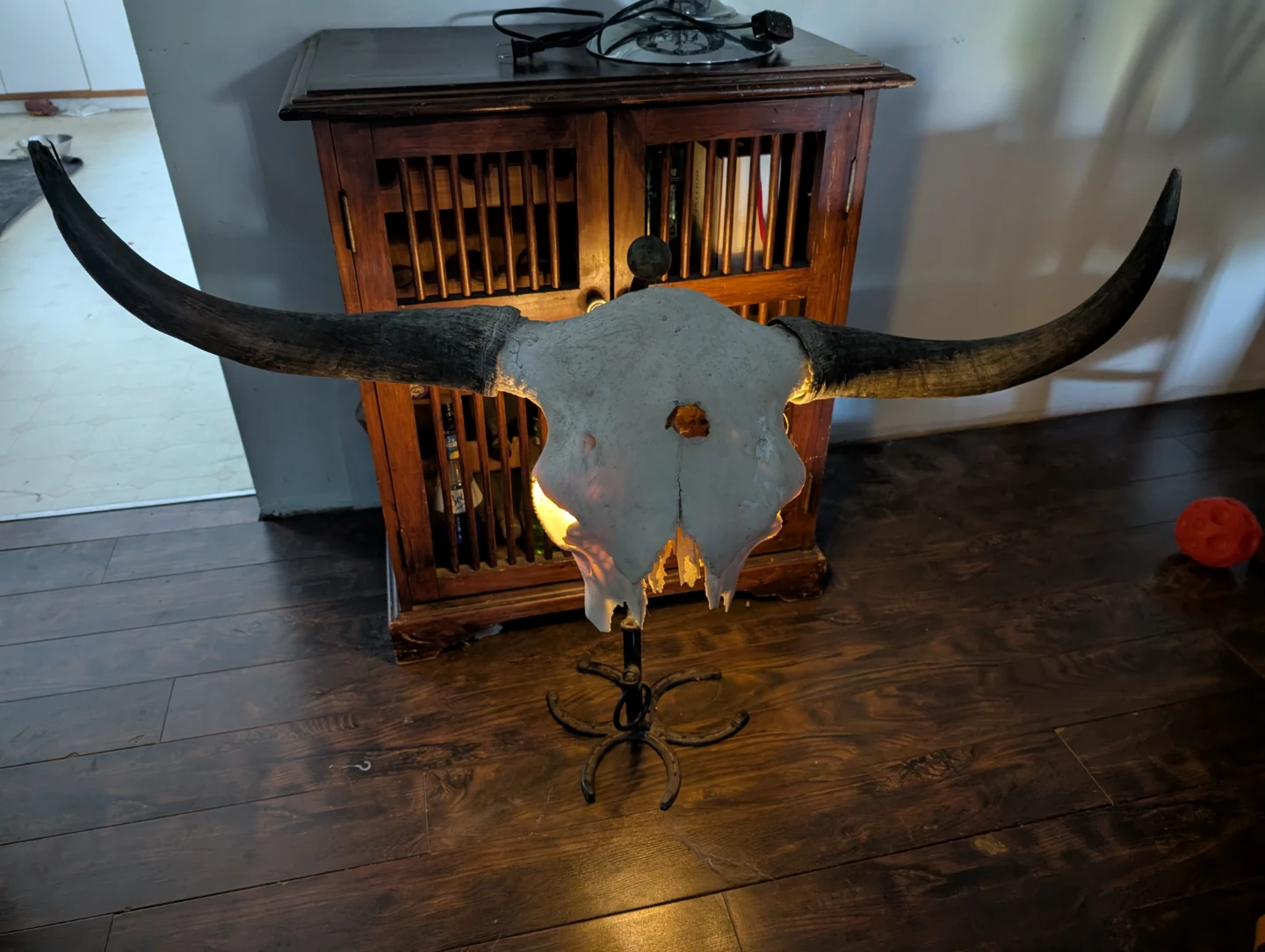 Bull Skull on custom stand and back lit - photo 2