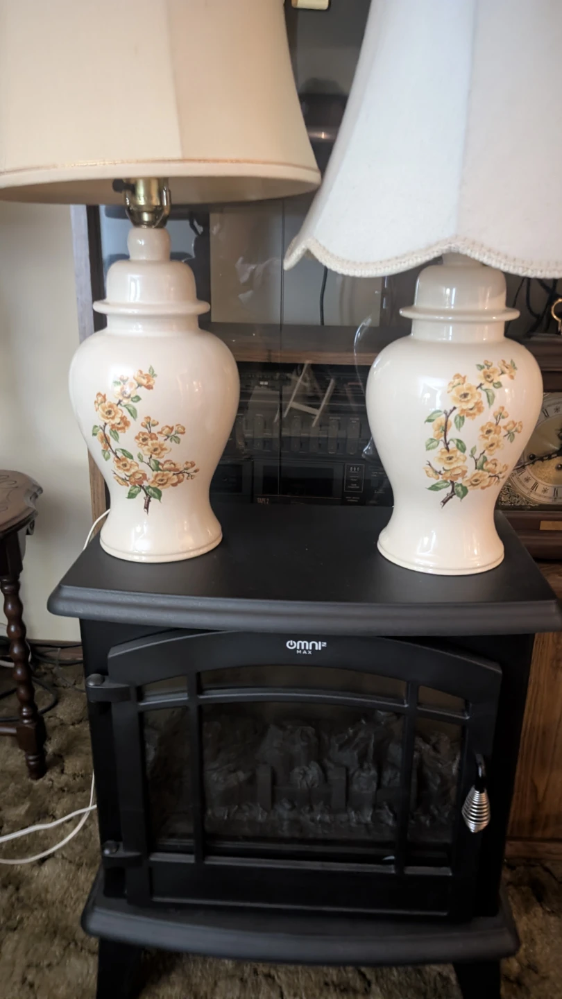 Two lamps in excellent shape different shades.