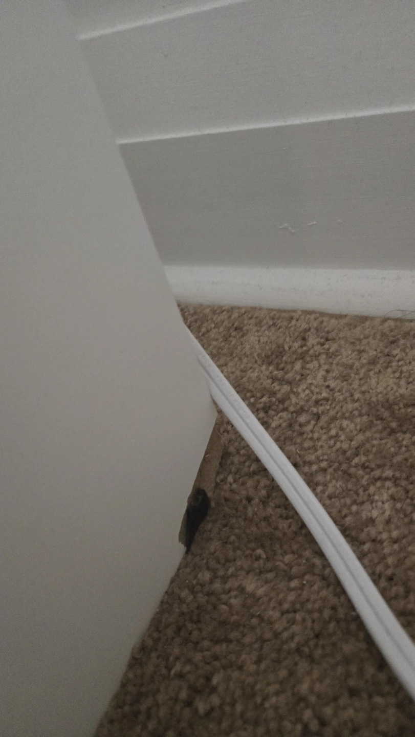 White Bookshelf with Floral Shelf Liner - photo 4