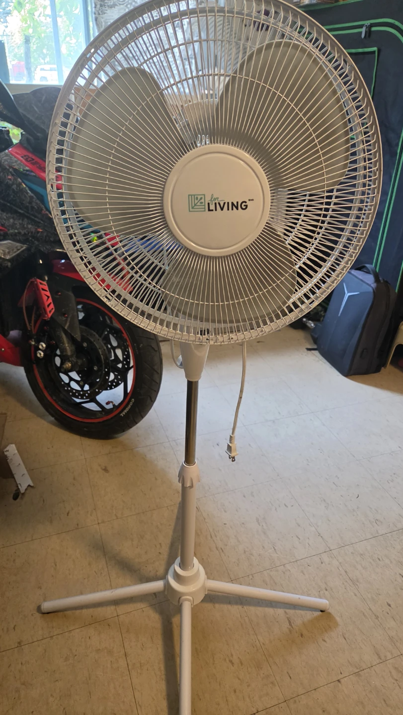 Fan for sale