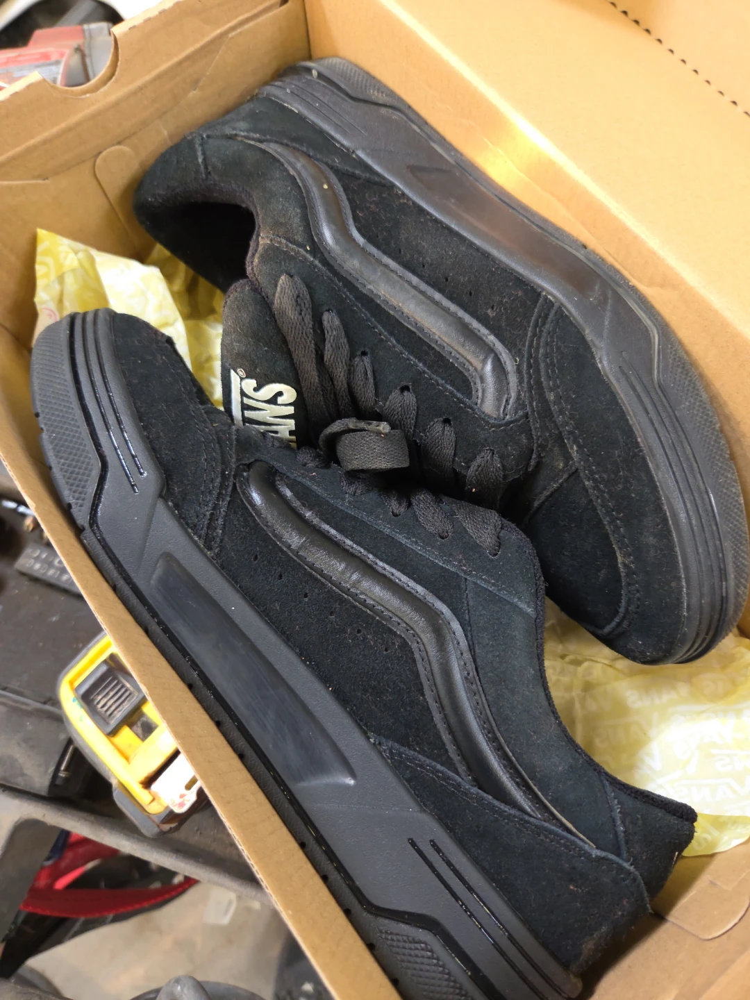 Vans Skate Shoes