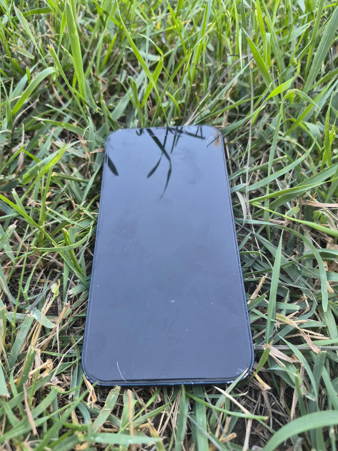 Apple iPhone 13 Pro - photo 3