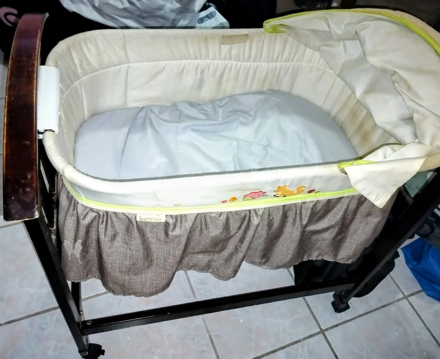 Bassinet with Canopy and Storage