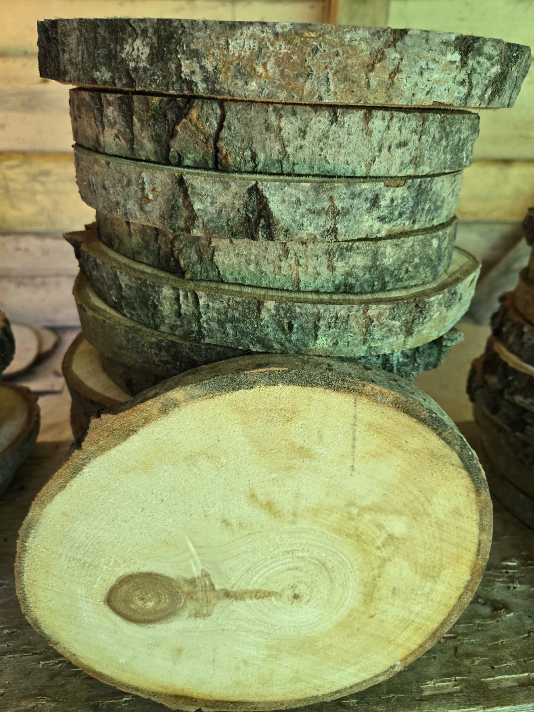 Wood Slices for Crafts and Decor - photo 5