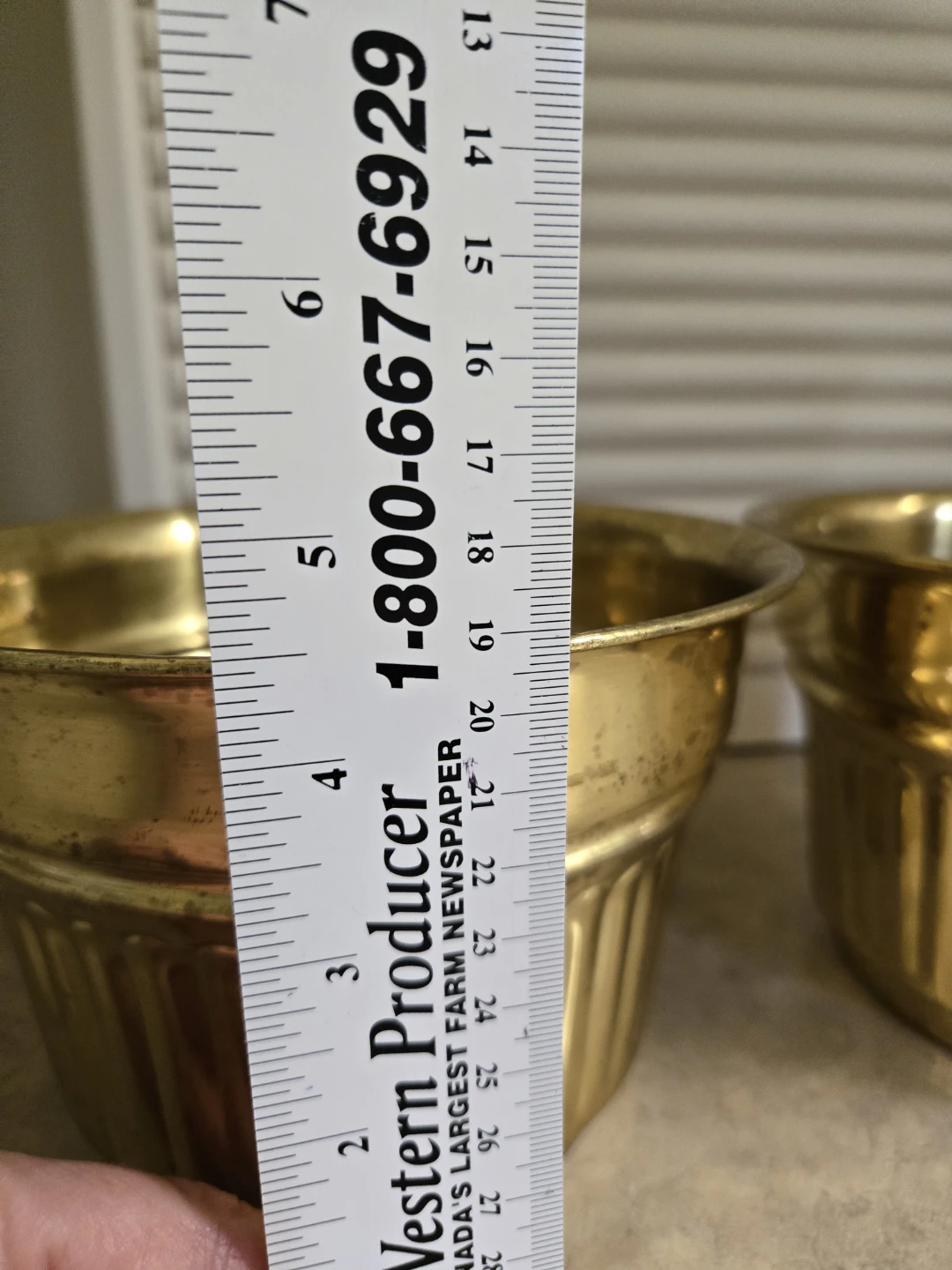 Pair of Brass Planters - photo 2