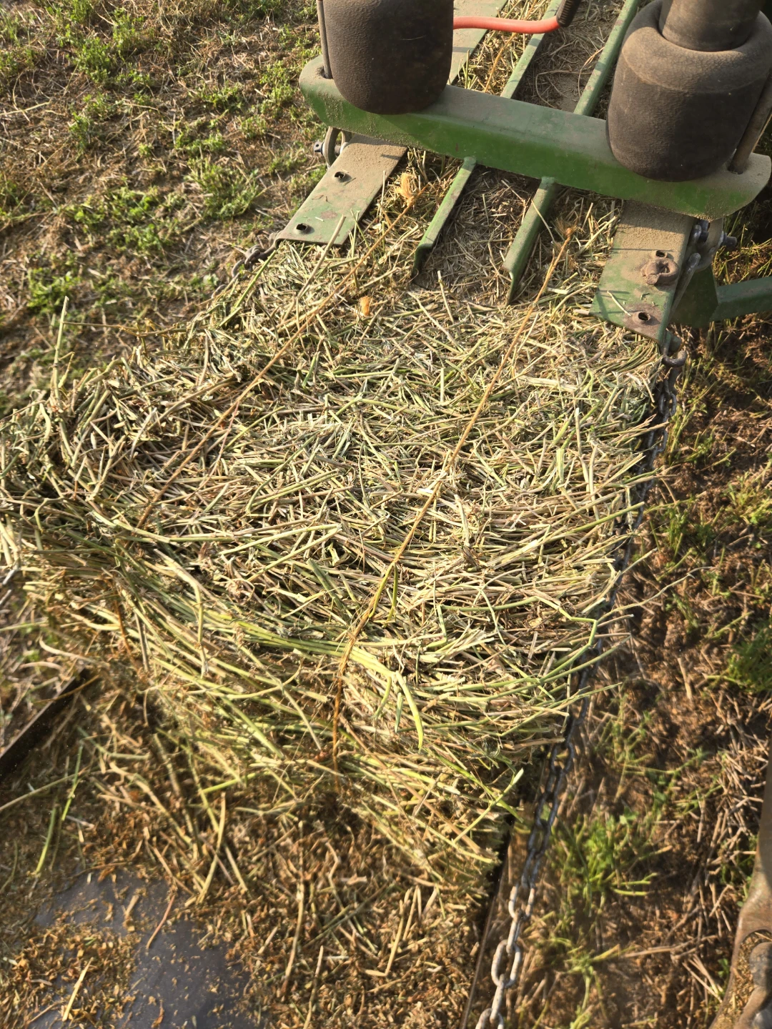 SMALL SQUARE ALFALFA SOME MIX. - photo 5